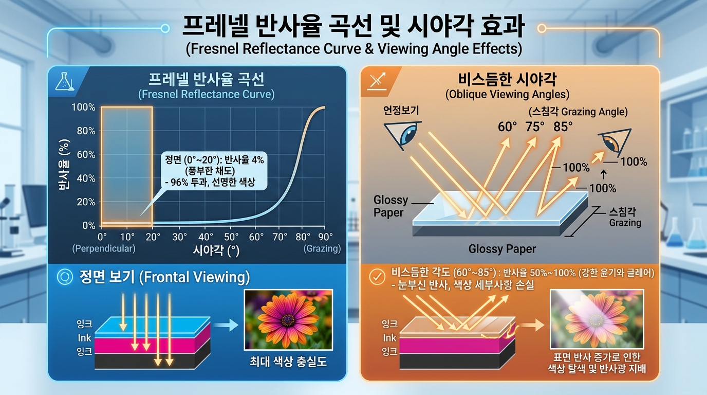 시야각과 프레넬 반사율 곡선 그래프 - 각도에 따른 광택 사진 표면 반사율 급증 원리 포토뷰 PhotoView