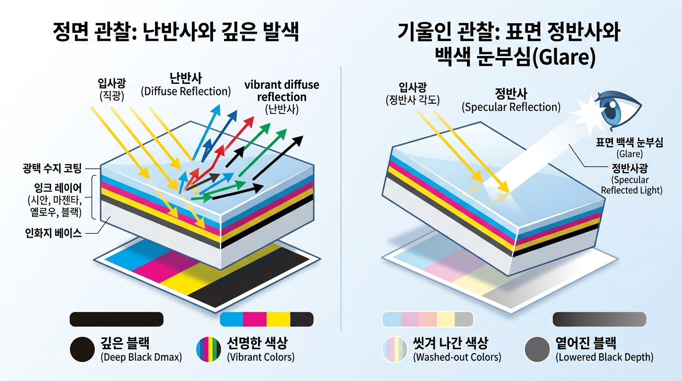 광택 사진을 기울이면 색과 윤기가 달라지는 정반사와 난반사 원리 인포그래픽 - 포토뷰 PhotoView 충무로 파인아트 사진 출력 랩